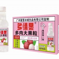 多qing果多肉大果粒荔枝味450mlx15瓶